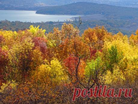 (49) Одноклассники