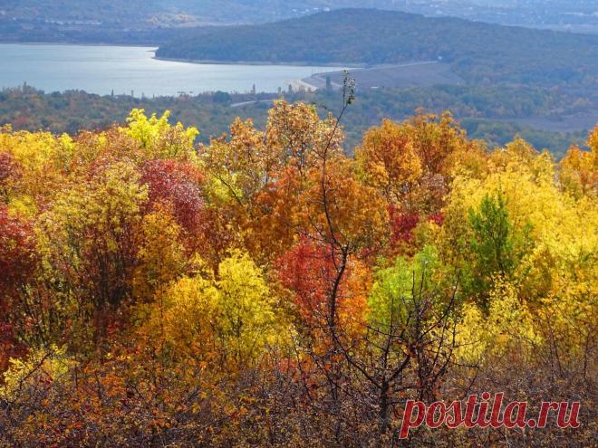 (49) Одноклассники