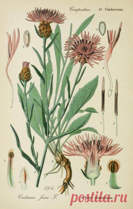 ~ MON PLAISIR ~ Вещи для души. Винтаж,Прованс.