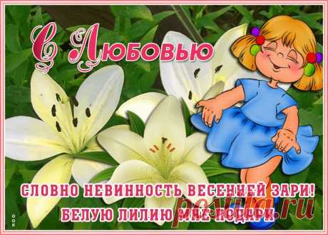 Открытка лилии с красивыми словами