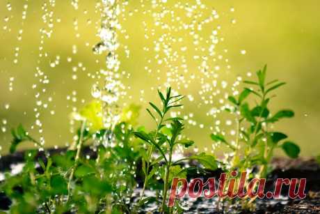 Педсовет. 13 правил для учеников, чтобы развить менталитет роста.