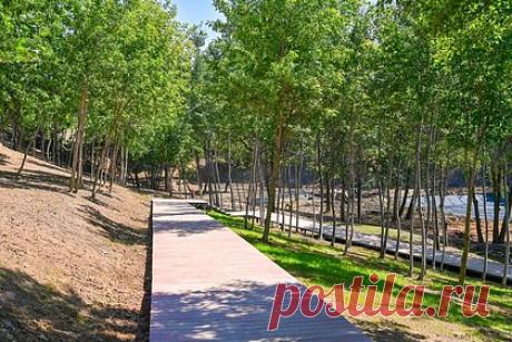 В московском округе обустроят один из самых больших парков столицы. В Москве обустроят новое пространство для отдыха. Об этом рассказал мэр столицы Сергей Собянин. Парк площадью около 100 гектаров появится в поймах рек Шмелевки и Кузнецовки в районах Орехово-Борисово Южное и Зябликово. На его территории разместят видовые площадки, а на склонах оврагов создадут зоны для отдыха.