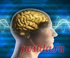 Как лучше запоминать информацию, способы для запоминания информации — Викиум.ру