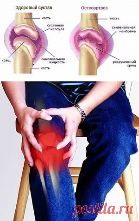 (66) Одноклассники