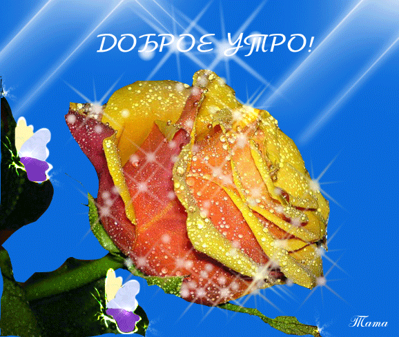 С добрым утром милая,с добрым утром сладкая!