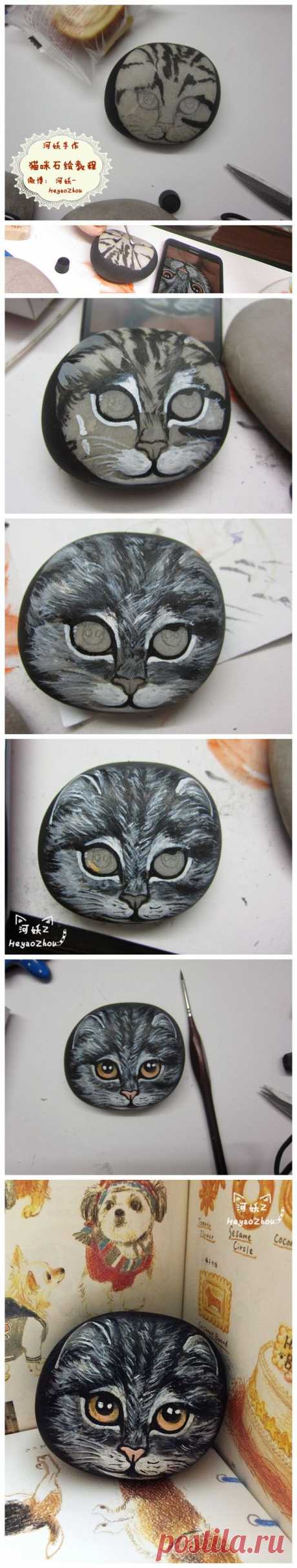 猫咪石绘教……_来自羽子豆腐心的图片分享-堆糖