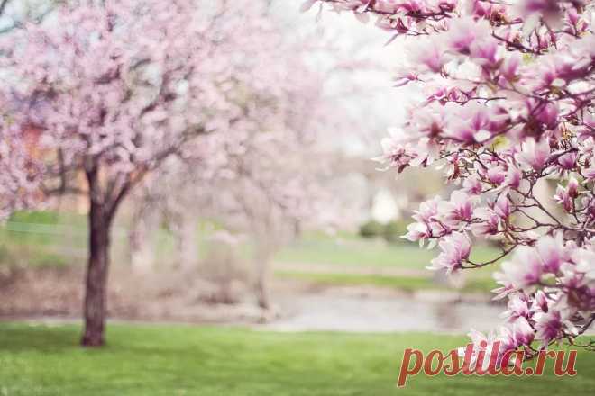 Песня из кинофильма Гардемарины вперёд - Журнал полезных