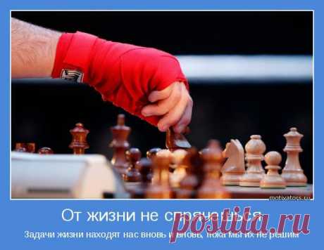 Таро прогноз на 2.12.2014 - alisa_7777@mail.ru - Почта Mail.Ru