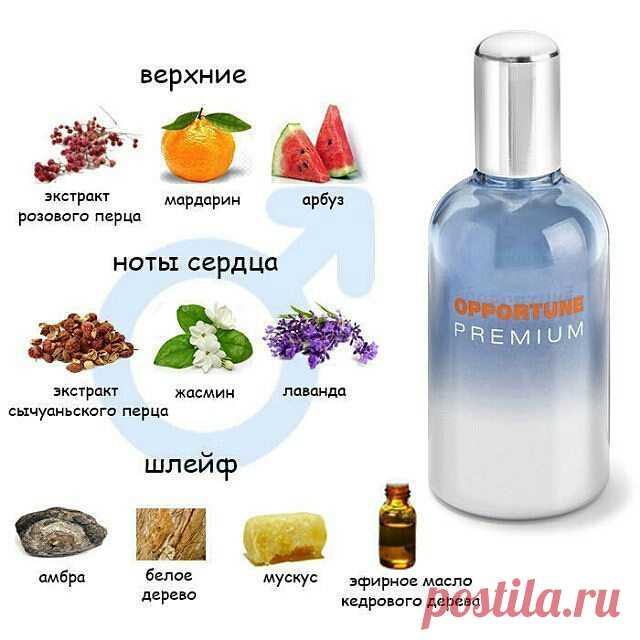 ПОДАРКИ НА 23 ФЕВРАЛЯ!🎁 Великолепная освежающая туалетная вода для мужчин, которые знают себе цену.
✨Свежее загадочное звучание этой композиции создатели аромата выразили, подчеркивая аккорды кедра и белой древесины. 
Острота сычуаньского перца, экстракт которого собран с помощью технологии «Эссенция джунглей» (Jungle Essence) и яркость аромата мандарина парфюмеры смягчили жасмином.
✨Особенное сочетание теплых и холодных ноток, звучат вначале потрясающе свежими аккордами,...