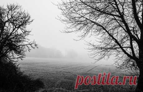 Как побороть депрессию, когда вокруг все внушает ужас Ученые советуют делать то, чего вам делать не хочется