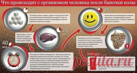 КОЛА