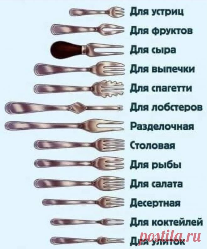 Сервируем стол. Предназначение вилок Теперь вы знаете немного больше