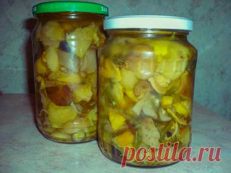 маринованное ассорти грибов / Простые рецепты