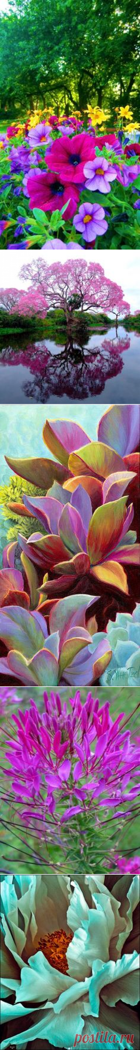 (81) Beautiful в Pinterest