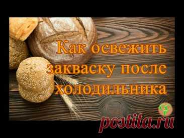 Как освежить закваску из холодильника. Закваска на пике