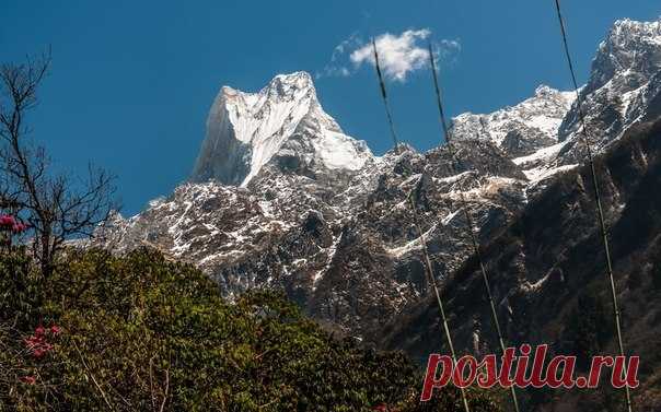 Непокоренная вершина Непала - Путешествуем вместе
