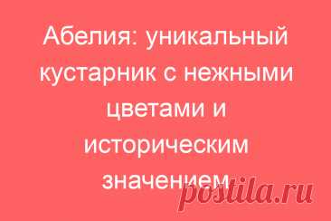 Абелия: уникальный кустарник с нежными цветами и историческим значением