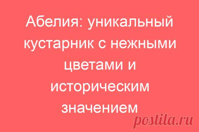 Абелия: уникальный кустарник с нежными цветами и историческим значением