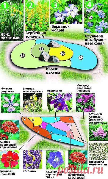 Красивые клумбы из многолетних цветов.