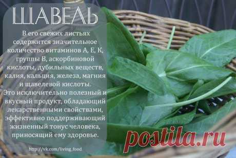 полезные травы