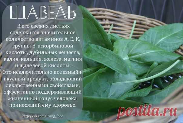 полезные травы
