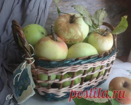 творчество. | 791 фотография