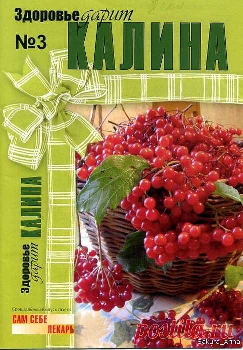Здоровье дарит калина