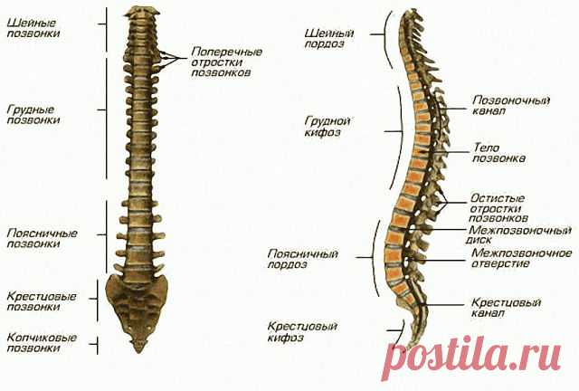 (99+) Одноклассники