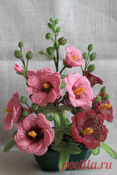 biser.info_49172_malva-ili-shtok-roza_1350499781.jpg (1067×1600)