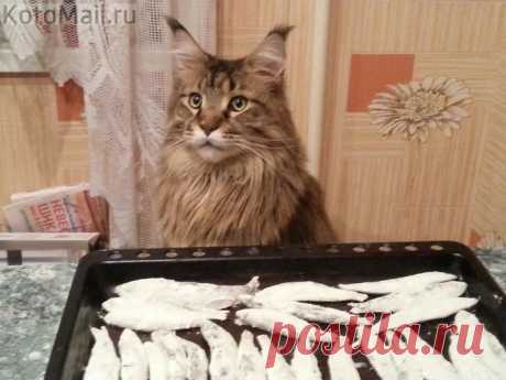 Сторож