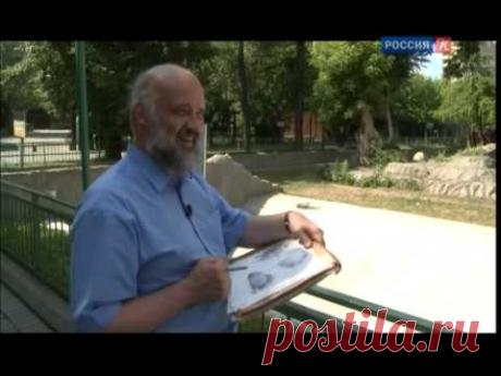 Андрияка С.Н. Уроки рисования 14. Овцебык.mp4