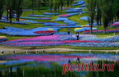 Активная работа в первые пару месяцев дает тебе шанс обрести финансовую независимость, если готов поработать чтоб потом наслаждаться жизнью и ни от кого не зависеть заполняй анкету на сайте https://millioner-sveta.blogspot.com и помни все зависит только от ТЕБЯ самого!!!