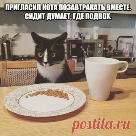 Смешные пятничные анекдоты (13 шт)