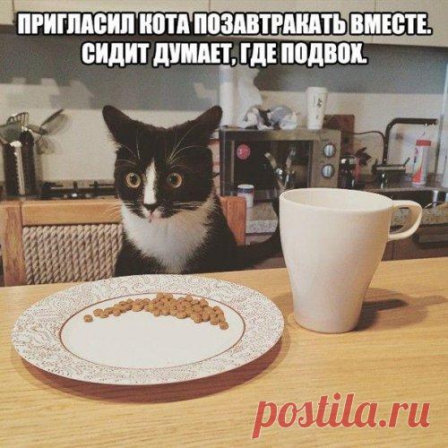 Смешные пятничные анекдоты (13 шт)