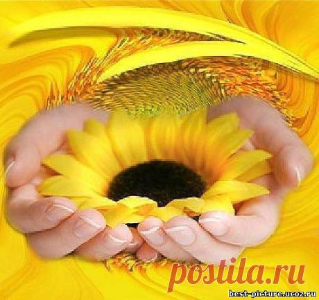 Чудо природы!