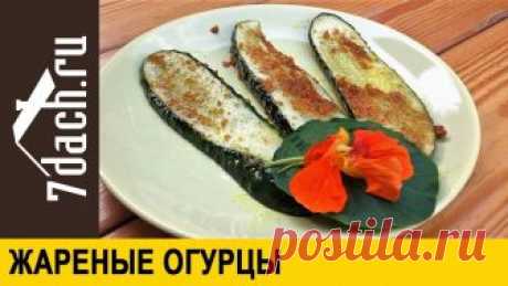 Как приготовить жареные огурцы