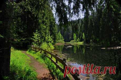 black forest suite (4) - Image &amp; Photo by Hans-Reiner Bohn from Schwarzwald - Photography (17354707) | fotocommunity