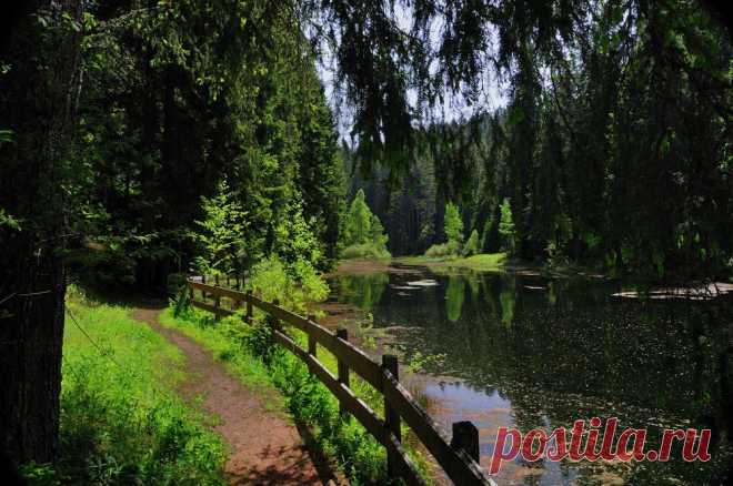 black forest suite (4) - Image & Photo by Hans-Reiner Bohn from Schwarzwald - Photography (17354707) | fotocommunity