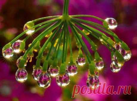 Beautiful &amp; Amazing Photo Collection