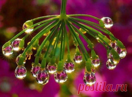 Beautiful & Amazing Photo Collection
