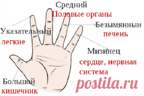 Зачем нужно каждый день тянуть себя за мизинец | Здоровье под ногами | Яндекс Дзен
