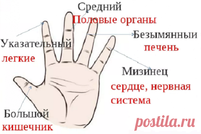 Зачем нужно каждый день тянуть себя за мизинец | Здоровье под ногами | Яндекс Дзен