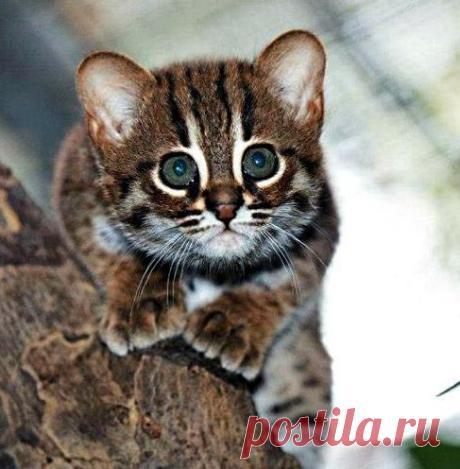 Интересные новости