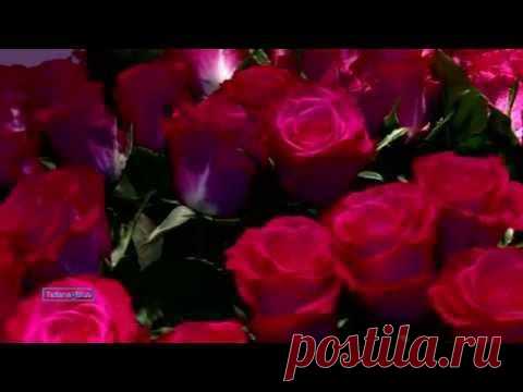 (+1) тема - Танго Роз. | ВИДЕОСМАК