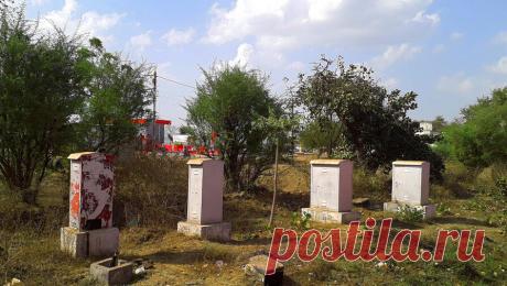 Шестиклассник организовал поджог на железной дороге в Подмосковье. В Подмосковье 12-летний ребенок вместе с другими школьниками устроил поджог на железной дороге. Об этом сообщает Life со ссылкой на Telegram-канал Shot. По информации Telegram-канала, инцидент произошел 7 января недалеко от станции ...