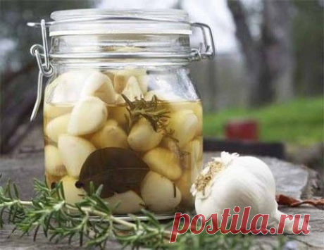 6 рецептов маринованного чеснока