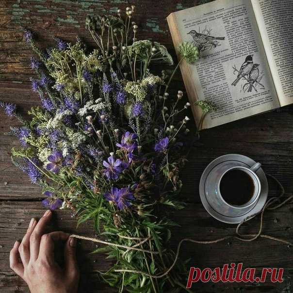 › Et ab fata non est defensio… ‹
› #доброе_утро@paradise______lost ‹

 С ДОБРЫМ УТРОМ ЖИТЕЛИ ГОРОДА 

С добрым утром! Жизнь прекрасна!
Так себе скажи с утра.
Все сегодня будет лучше,
Интересней, чем вчера.

Улыбнись, чтоб день сложился
И принес тебе успех.
Делай все, что ты умеешь,
Только делай лучше всех!

Цитата дня: «Никогда не теряй терпения — это последний ключ, открывающий двери.»
Антуан де Сент-Экзюпери