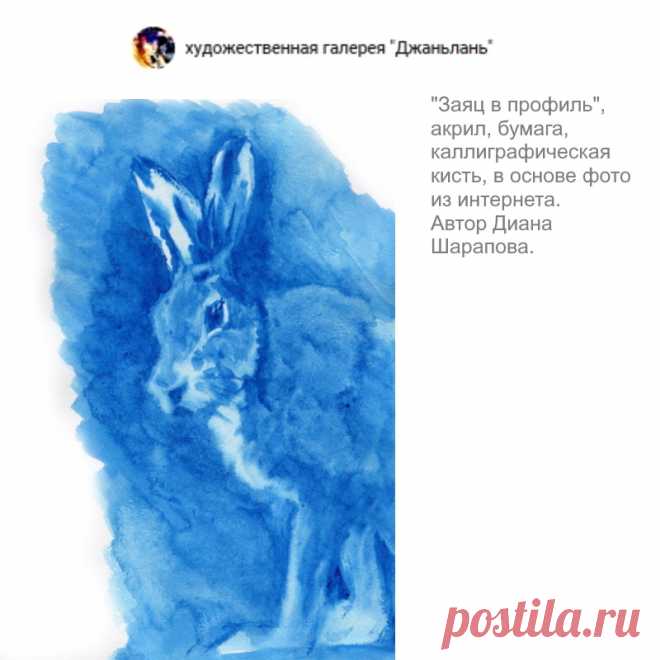 заяц