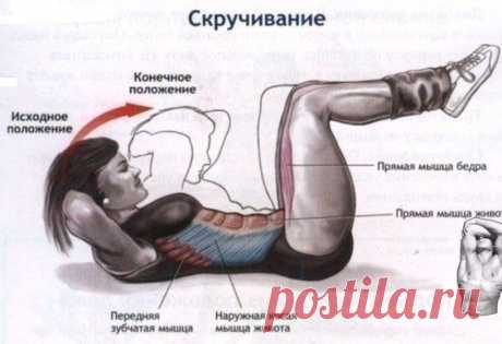 Плоский живот / Всё за еду!