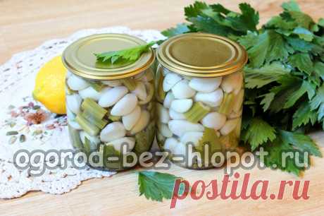 Бесподобный маринованный чеснок на зиму — простой, но очень вкусный рецепт Большинство счастливых обладателей дачных участков, активно выращивающих урожай, в летний период также активно занимаются заготовками на зиму. Я вхожу в число этих счастливчиков. На дворе уже середина августа, поэтому процесс консервирования и маринования идет полным ходом. Полки нашего погреба постепенно заполняются стройными рядами баночек с вареньем, салатами, компотами, закусками. В нашей большо...